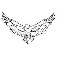 Soar Beyond Ventures