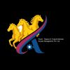 Avyaan Management Pvt. Ltd.