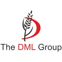 The DML Group