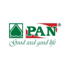 Pan Seeds