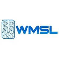 Wealth Management System Limited