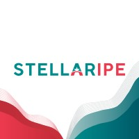 Stellaripe