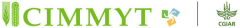 CIMMYT